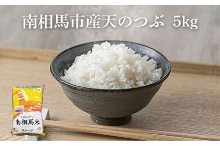 先行予約 令和7年産 天のつぶ 5kg 福島県産 米米米米米米【2200101】