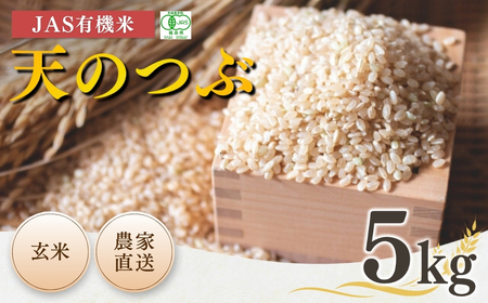 【令和5年産米】南相馬・根本有機農園のJAS有機米天のつぶ5kg（玄米）【30046】