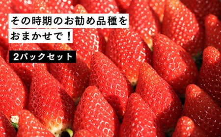 [数量限定]伊賀いちご園のおまかせ 560g(280g×2パック) | 南相馬市 ふくはる香 ゆうやけベリー