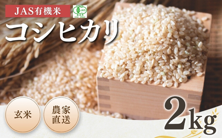 [先行予約]JAS有機米 コシヒカリ 玄米 2kg 令和7年産 有機米有機米有機米有機米[53870-001-04]