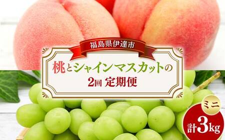 桃とシャインマスカットの定期便(ミニ) 福島の桃 果物 先行予約 フルーツ 桃 モモ もも 葡萄 ブドウ ぶどう 福島県 伊達市 もも モモ momo F20C-784