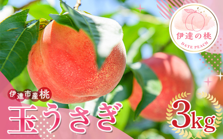 福島の桃 玉うさぎ 3kg(7〜12玉) 伊達市産桃 先行予約 フルーツ 果物 もも モモ momo F20C-835
