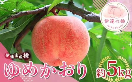 y2026Noוs\zY ߂ 5kg (8`18) Tg[_ Vi   ł ɒB̓  t[c ʕ   momo F20C-838