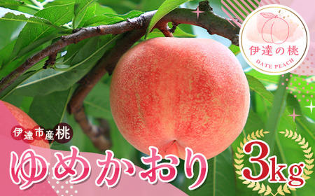 福島の桃 ゆめかおり3kg(7〜12玉) 伊達市産桃 先行予約 フルーツ 果物 もも モモ momo F20C-839