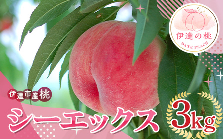 福島の桃 シーエックス 3kg(7〜12玉) 伊達市産桃 先行予約 フルーツ 果物 もも モモ momo F20C-841