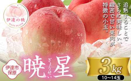 福島の桃 暁星 3kg(10〜14玉) [あかい果樹園] 先行予約 フルーツ 果物 もも モモ momo F20C-896