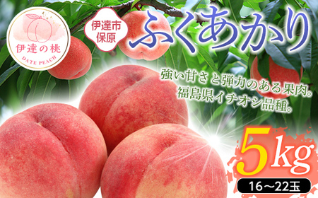 ふくあかり 5kg  福島県伊達市産 桃 フルーツ 果物  F20C-901