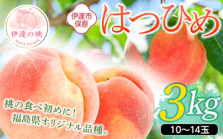 はつひめ 3kg  福島県伊達市産 桃 フルーツ 果物  F20C-902
