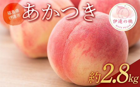 y2026Noוs\z̓  2.8kg (6`11) ʎ ɒB̓  t[c ʕ   momo F20C-904