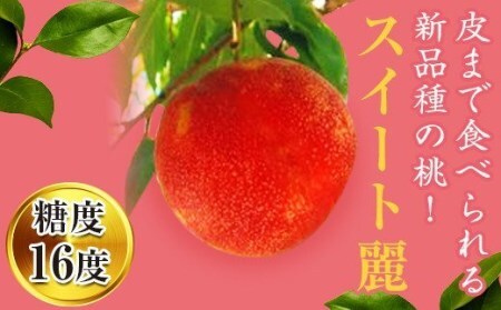 皮まで食べられる新品種 福島県産 スイート麗 1.5kg 2025年8月下旬〜2025年9月上旬発送 2025年出荷分 先行予約 予約 伊達の桃 桃 もも モモ 果物 くだもの フルーツ 国産 食品 F20C-149