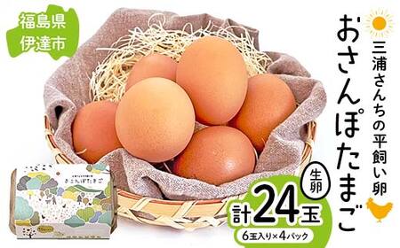 三浦さんちの平飼い卵 おさんぽたまご 計24玉 伊達市 福島県 国産 養鶏場直送 卵 たまご 玉子 生卵 鶏卵 F20C-950