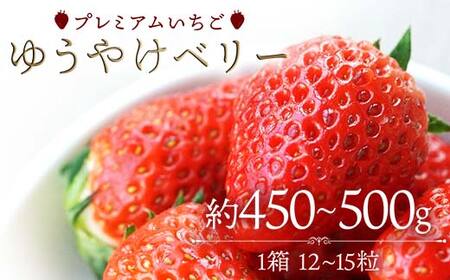 プレミアムいちご ゆうやけベリー 約450〜500g(12〜15粒) イチゴ ゆうやけベリー 苺 フルーツ 果物 伊達市 F20C-981