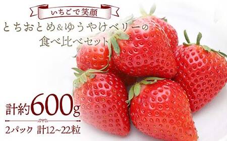 [いちごで笑顔]とちおとめ&ゆうやけベリーの食べ比べセット 約300g×2パック プレミアムいちご 苺 とちおとめ ゆうやけベリー 食べ比べ F20C-984