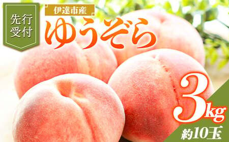 ゆうぞら 3kg 福島県伊達市産 桃 フルーツ 果物 2025年出荷分 先行予約 小さめ 固め F20C-642