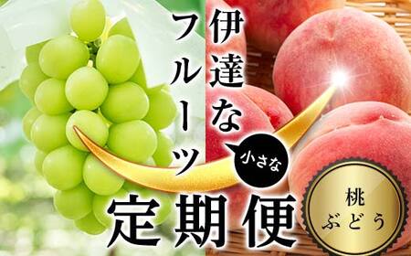 [2025年夏から開始の定期便]伊達な小さなフルーツ定期便(桃約1kg・ぶどう1房) 果物 フルーツ 桃 モモ 葡萄 ブドウ 福島県 伊達市 F21C-016