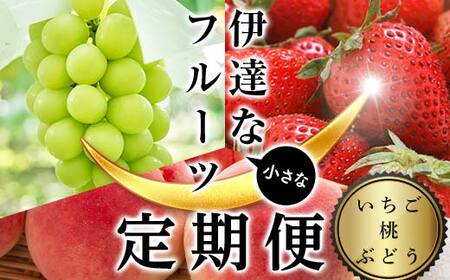 2026NJn̒ցɒBȏȃt|cցi500gE1kgEԂǂ1[jʕ t[c    C`S  uhE  ɒBs F21C-019