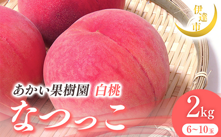 2025年出荷分 先行予約 福島県産 なつっこ 2kg 2025年8月上旬～2025年8月中旬発送 先行予約 予約 伊達の桃 伊達市 桃 贈り物 贈答 ギフト もも モモ 果物 くだもの フルーツ 国産 食品 桃桃桃 F21C-004