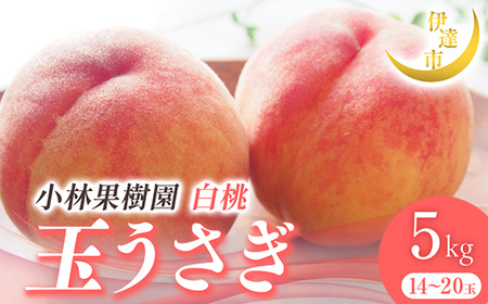 2025年出荷分 先行予約 福島県産 玉うさぎ 5kg 2025年9月上旬～2025年9月中旬発送 先行予約 予約 伊達の桃 伊達市 桃 もも モモ 果物 くだもの フルーツ 名産品 国産 食品 桃桃桃 F21C-011