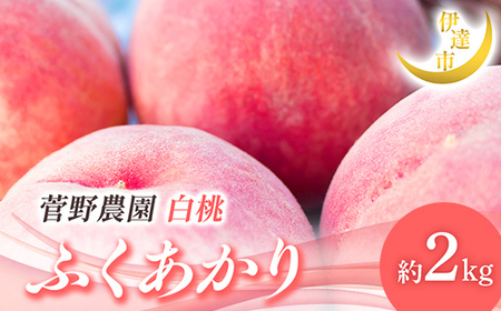 y2026Noוs\zY ӂ 2kg (5`9) _FruitsProvider 蕨  Mtg ɒB̓  t[c ʕ   momo F21C-012