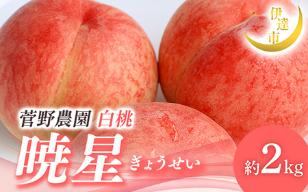 y2026Noוs\zY Ő 2kg (5`9) _FruitsProvider 蕨  Mtg ɒB̓  t[c ʕ   momo F21C-013