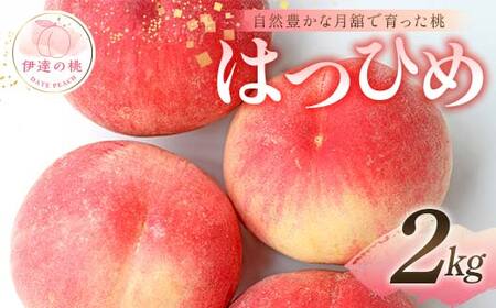 [2025年出荷分 先行予約]自然豊かな月舘で育った桃 はつひめ2kg(6〜10玉) 桃 もも モモ 果物 くだもの フルーツ 名産品 国産 食品 F21C-048