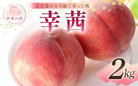 [2025年出荷分 先行予約]自然豊かな月舘で育った桃 幸茜2kg(6〜8玉) 桃 もも モモ 果物 くだもの フルーツ 名産品 国産 食品 F21C-060