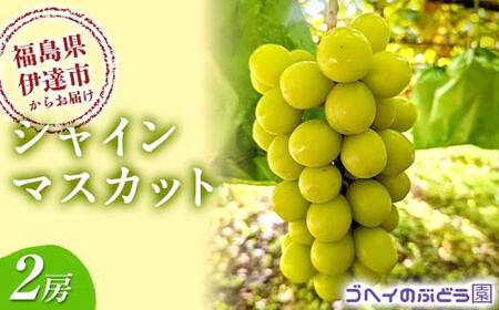 12I VC}XJbg 2[ (1.2`1.4kg) ʕ  t[c Y Y Hi F21C-116