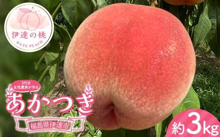 3代目の女性の農家が作る桃あかつき 約3kg(9〜12玉) 桃 もも モモ 果物 くだもの フルーツ 国産 食品 桃桃桃 F21C-128