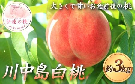 y2026Noוs\zY 쒆 3kg (7`10)  r ɒB̓  t[c ʕ   momo F21C-123