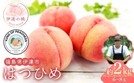 キングオブピーチ 桃 「はつひめ」約2kg(6〜8玉)はつひめ 伊達の桃 桃 もも モモ 果物 くだもの フルーツ 国産 食品 F21C-133