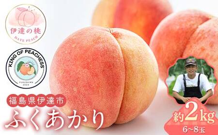 キングオブピーチ 桃 「ふくあかり」約2kg(6〜8玉)ふくあかり 伊達の桃 桃 もも モモ 果物 くだもの フルーツ 国産 食品 F21C-135