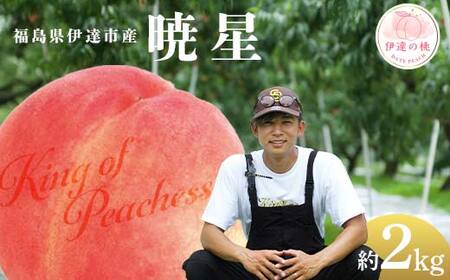 [2026年出荷分先行予約]福島県産 暁星 約2kg (6〜8玉) KING OF PEACHESS キングオブピーチ ぎょうせい 伊達の桃 桃 フルーツ 果物 もも モモ momo F21C-139