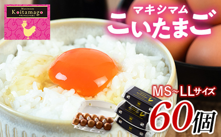 yTVŘb蕦IzƂɂgZ܂u}LV}܂v60 ɒBs  Y MS`LLTCY  ܂ ʎq  { F21C-181