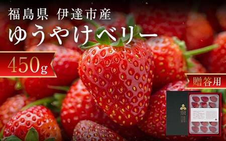 [2026年発送][贈答用]極上いちご!福島オリジナル品種 ゆうやけベリー 450gイチゴ 苺 フルーツ 果物 伊達市 F20C-958