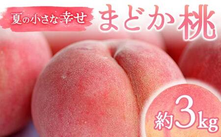 y2026Noוs\zY ܂ǂ 3kg (9`12) ̓_ƃyVFG Ă̏ȍK ɒB̓  t[c ʕ   momo  F21C-069