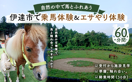 自然の中で馬とふれあう 伊達市で乗馬体験&エサやり体験[60分] 馬 うま 乗馬 初心者 自然 体験 F21C-245