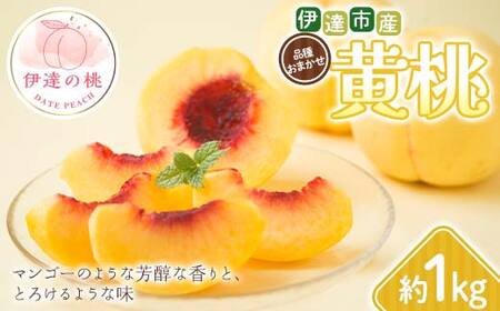 [2026年出荷分先行予約]福島県 伊達市産 黄桃 品種おまかせ 約1kg (3〜5玉) 種まきうさぎ株式会社 伊達の桃 桃 フルーツ 果物 もも モモ momo F21C-291