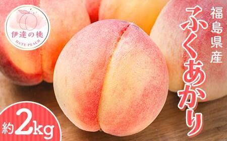 [2026年出荷分先行予約]福島県産 ふくあかり 約2kg (7〜10玉) 斎藤果樹園 オリジナル品種 伊達の桃 桃 フルーツ 果物 もも モモ momo F21C-303