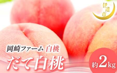 [2026年出荷分先行予約]福島県産 だて白桃 約2kg (4〜7玉) 岡崎ファーム 伊達の桃 桃 フルーツ 果物 もも モモ momo F21C-311