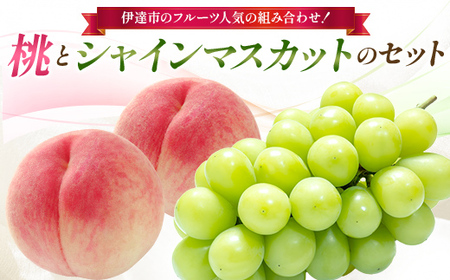 �y2026�N�o�ו���s�\��z�������Y ���ƃV���C���}�X�J�b�g�̃Z�b�g �勴�ӂ��[�� �ɒB�s�̃t���[�c�l�C�̑g�ݍ��킹 �ɒB�̓� �� �V���C���}�X�J�b�g �t���[�c �ʕ� ���� ���� momo F21C-309