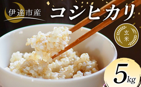 令和7年産米 伊達市産 コシヒカリ 玄米 5kg ご飯 ごはん ライス 伊達市 F21C-337