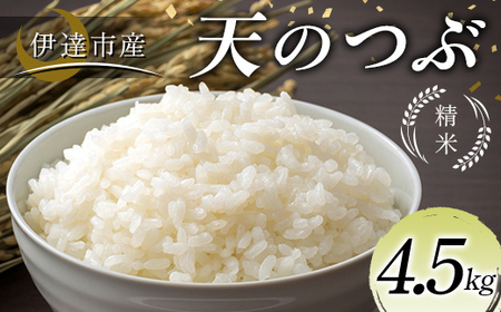 令和7年産米 伊達市産 天のつぶ 精米 4.5kg 訳あり ご飯 ごはん ライス 伊達市 F21C-385