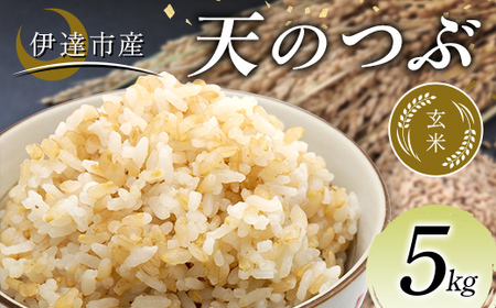 令和7年産米 伊達市産 天のつぶ 玄米 5kg 訳あり ご飯 ごはん ライス 伊達市 F21C-391