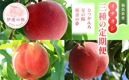 [2026年出荷分先行予約]福島県産 イチオシ桃3種の定期便 なつかんろ・夏の陽・優香の夢 各約2kg (6〜9玉) 高橋もも園 ゆうかのゆめ なつのよう なつかんろ 伊達の桃 桃 フルーツ 果物 もも モモ momo F21C-312