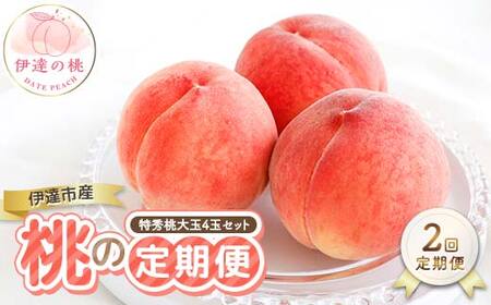 [2026年出荷分先行予約]福島県産 2回届く!伊達市産の桃の定期便 特秀 もも 大玉 セット 4玉入り (約1.2kg) 株式会社エールアップ 特秀 伊達の桃 桃 フルーツ 果物 もも モモ momo F21C-466