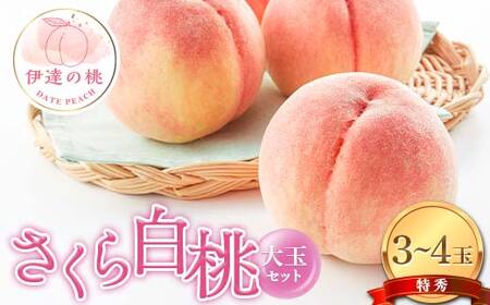 [2026年出荷分先行予約]福島県産 さくら白桃の特秀 大玉 3〜4玉入り (約1.2kg) 株式会社エールアップ 特秀 伊達の桃 桃 フルーツ 果物 もも モモ momo F21C-471