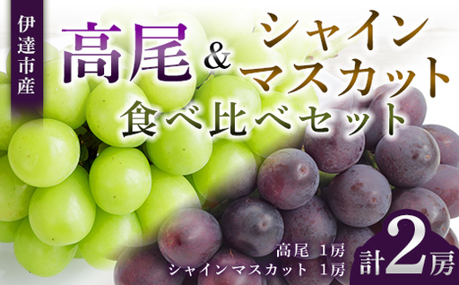 [福島県伊達市産]高尾&シャインマスカット食べ比べセット マスカット ぶどう ブドウ 葡萄 デザート フルーツ 果物 くだもの 果実 食品 F21C-532