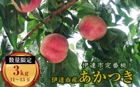 あかつき 約3kg 福島県伊達市産 桃 フルーツ 果物  F20C-159
