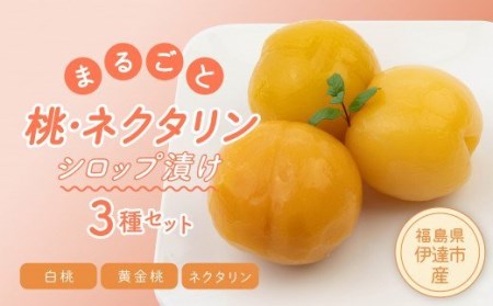 まるごと桃・ネクタリン3種セット(白桃、黄金桃、ネクタリン) F20C-335
