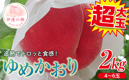福島の桃 [極大玉]ゆめかおり2kg(4〜6玉) 先行予約 フルーツ 果物 もも モモ momo F20C-372